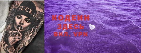 ПСИЛОЦИБИНОВЫЕ ГРИБЫ Заволжье