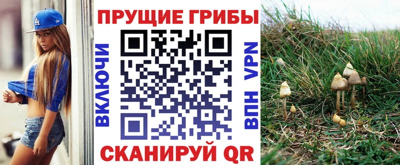 Галлюциногенные грибы прущие грибы  Купить  Кемь 