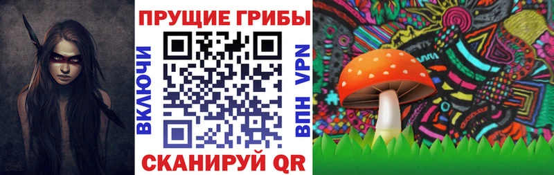 Псилоцибиновые грибы GOLDEN TEACHER Кемь